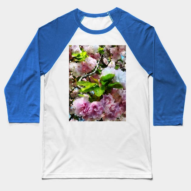 Spring - Double Cherry Blossoms Baseball T-Shirt by SusanSavad